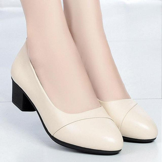 Women Mid Heel Shoes